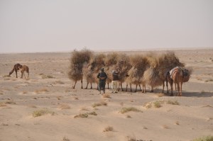 Balkh-and-the-Oxus-Amu-Darya-126-1024x680