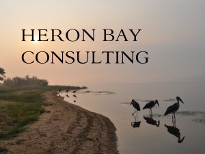 Heron Bay Consulting for link